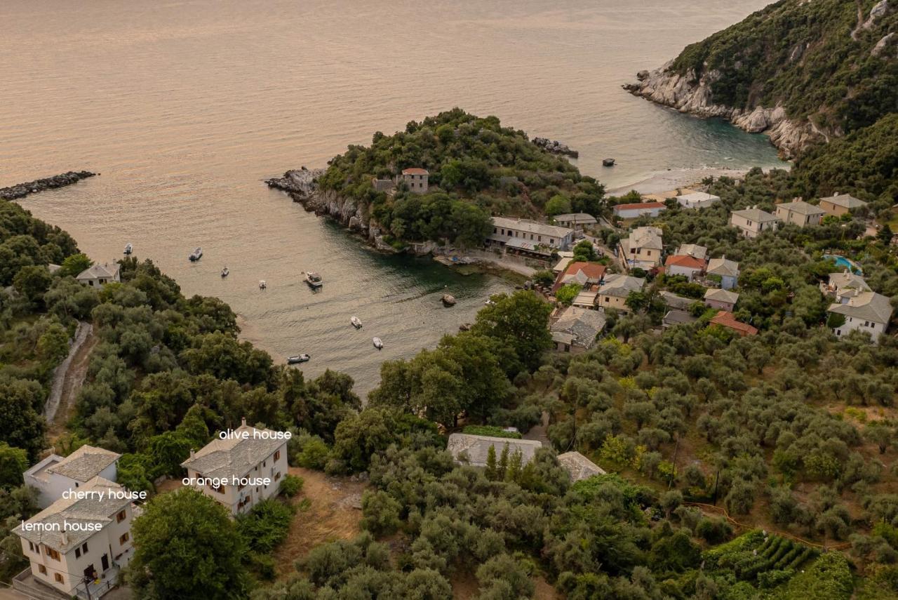 Olive House In Damouchari With A Sea View - Delicious Houses Екстер'єр фото