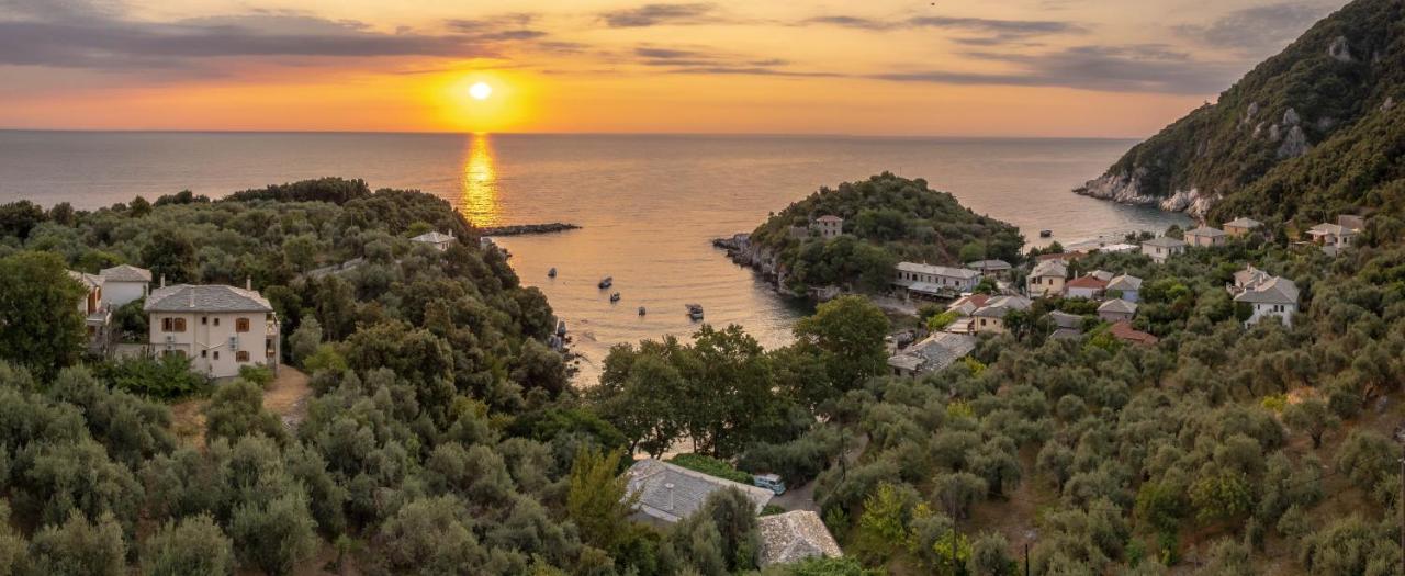 Olive House In Damouchari With A Sea View - Delicious Houses Екстер'єр фото